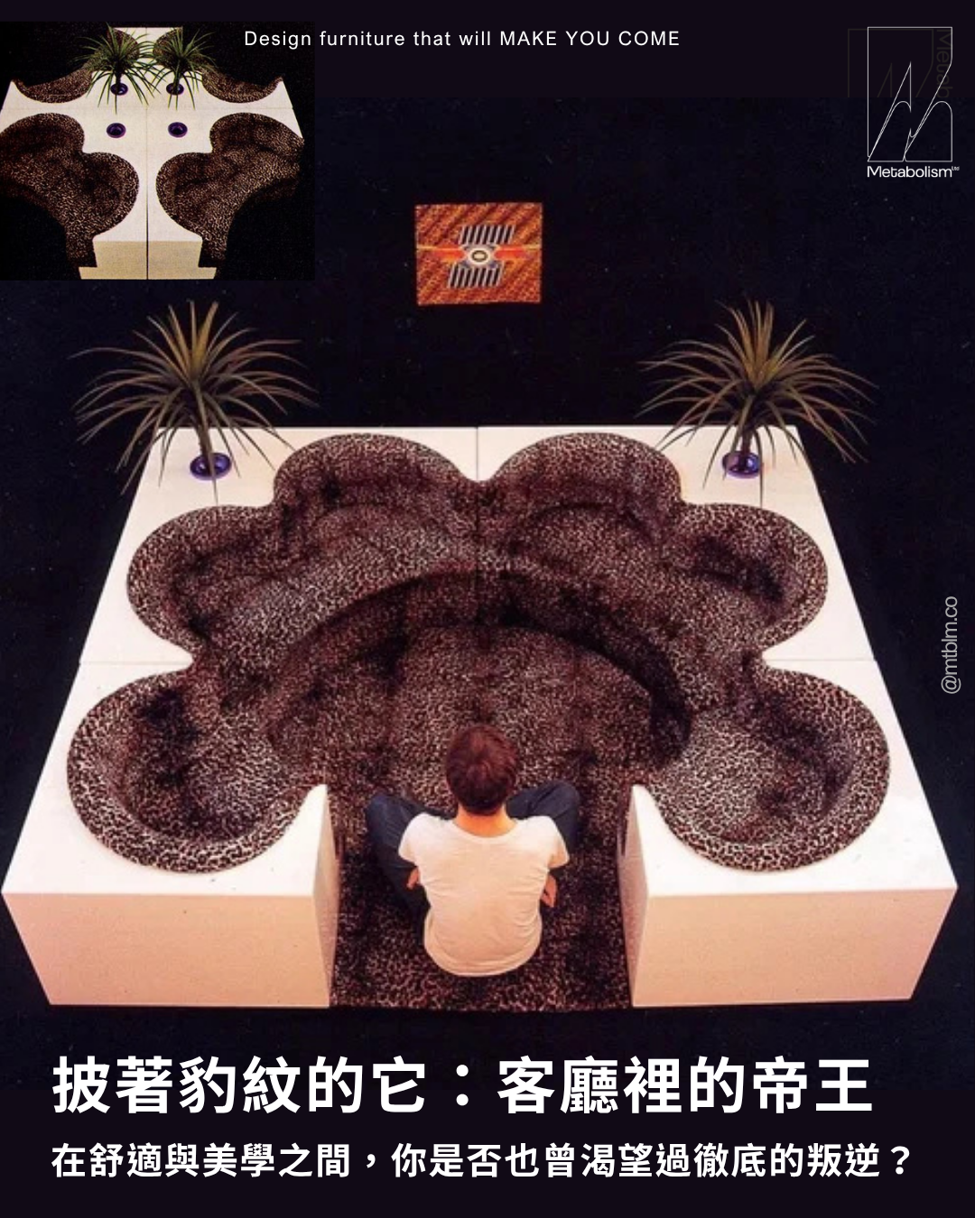 《披著豹紋的革命:客廳裡的帝王》 在舒適與美學之間,你是否也曾渴望過徹底的叛逆?