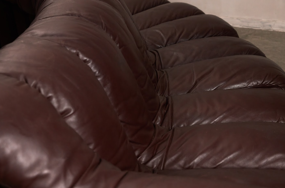 DS-600 by Ueli Berger, Eleonore Peduzzi-Riva, Heinz Ulrich, Klaus Vogt for De Sede, 1972