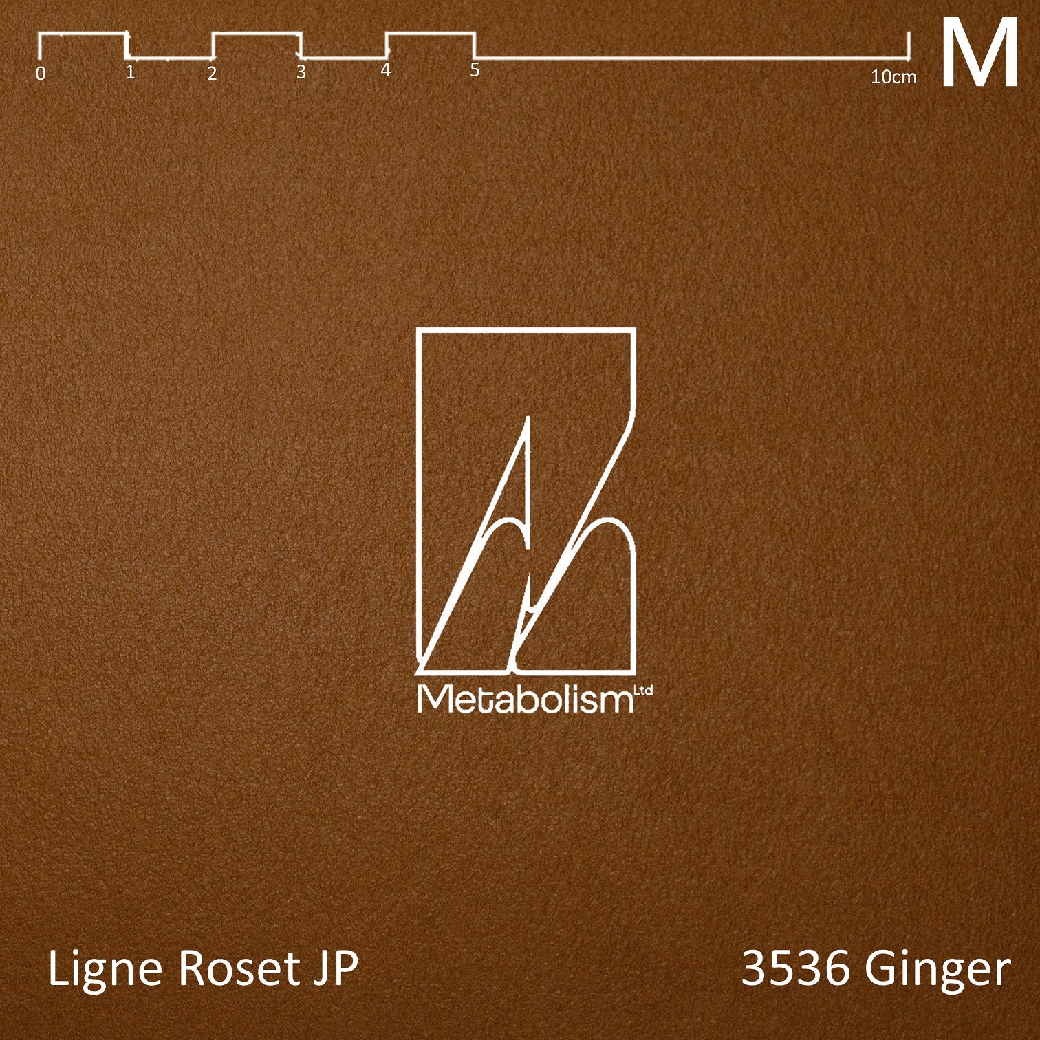LIGNE ROSET JP TOGO, Rank M Ultrasuede® nu (大地色系)