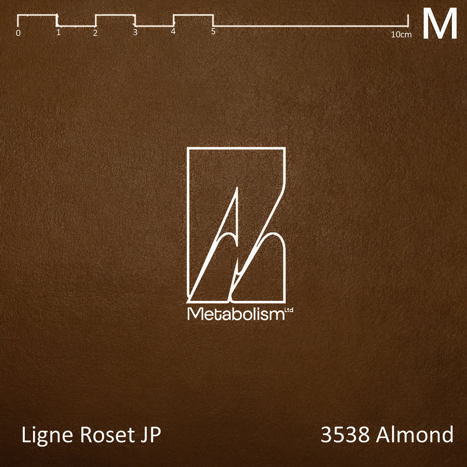 LIGNE ROSET JP TOGO, Rank M Ultrasuede® nu (大地色系)