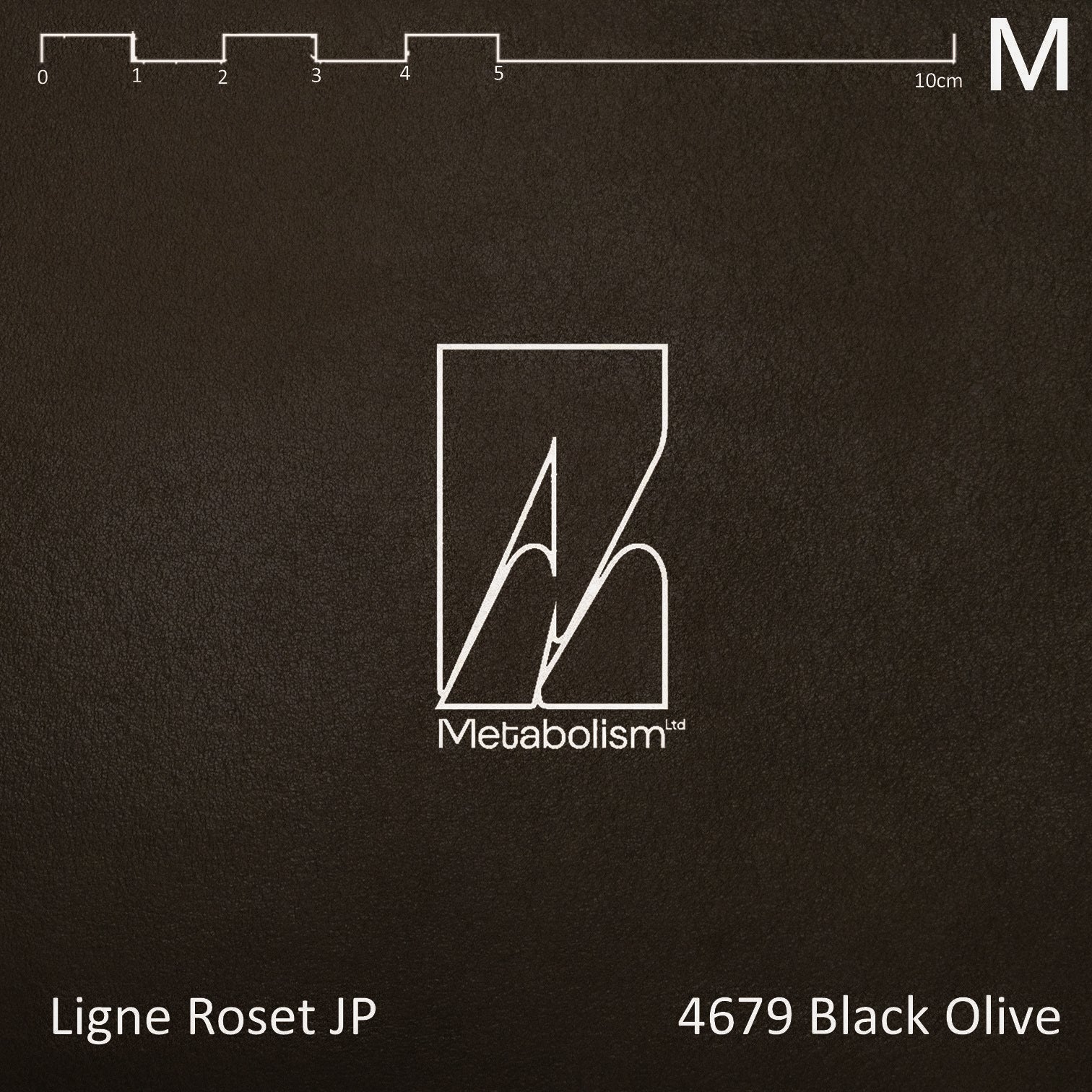 LIGNE ROSET JP TOGO, Rank M Ultrasuede® nu (大地色系)