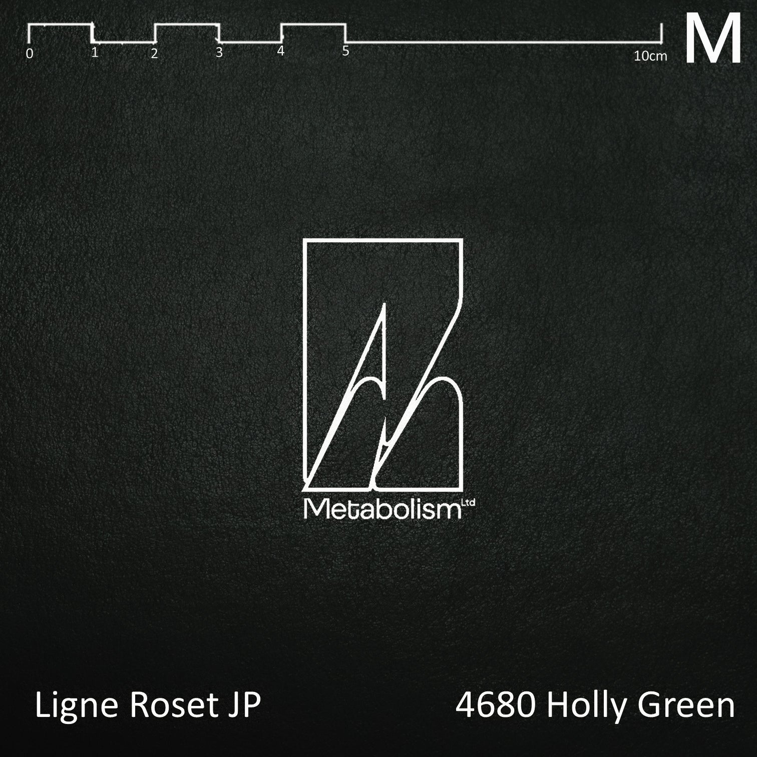 LIGNE ROSET JP TOGO, Rank M Ultrasuede® nu (其他色系)