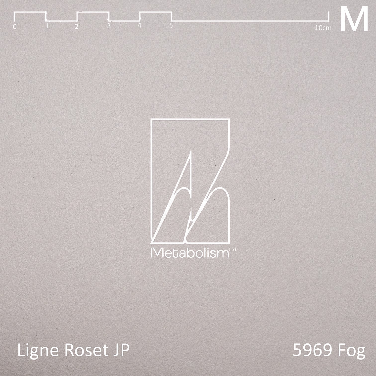 LIGNE ROSET JP TOGO, Rank M Ultrasuede® nu (其他色系)