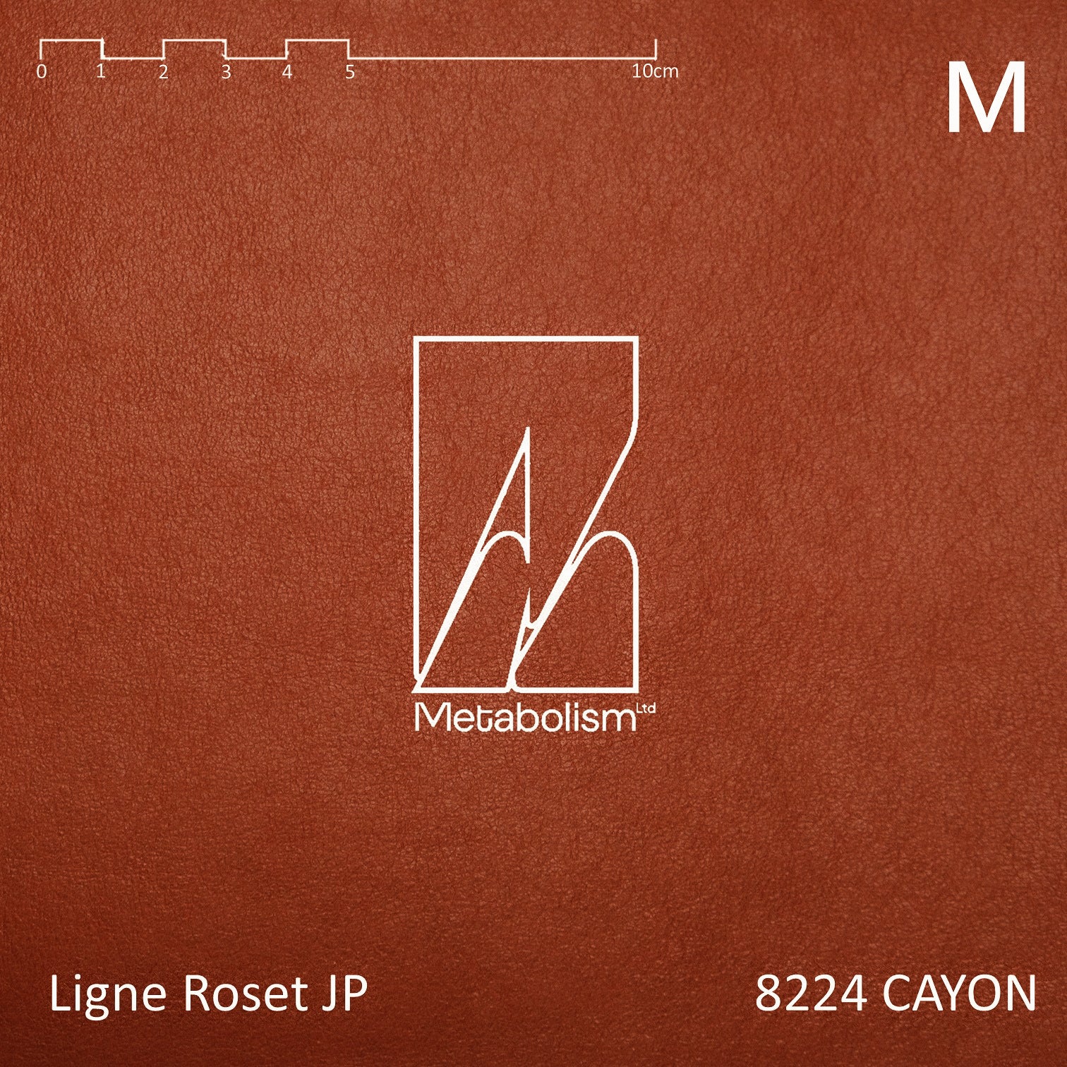 LIGNE ROSET JP TOGO, Rank M Ultrasuede® nu (其他色系)