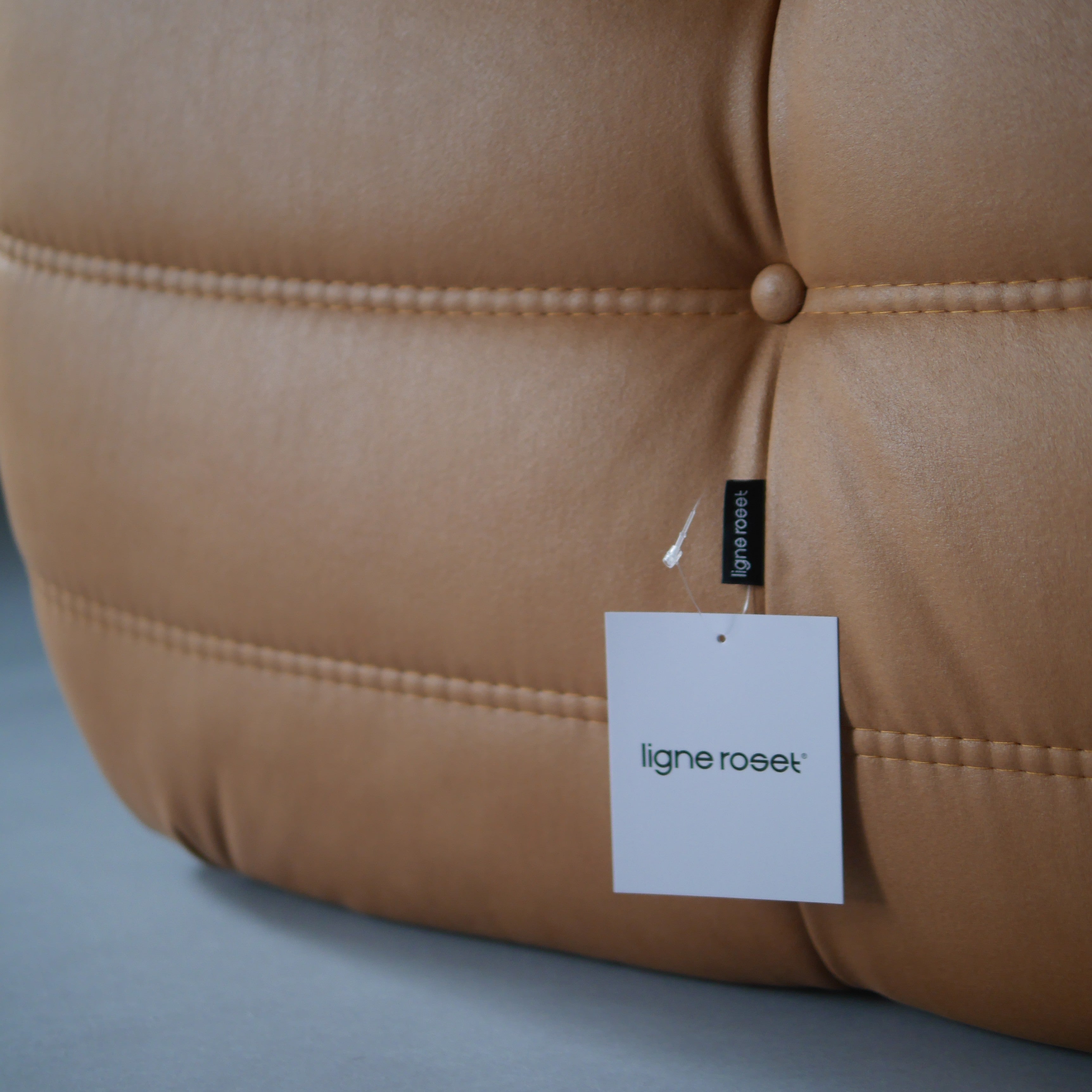 現貨 LIGNE ROSET JP TOGO, NU 3536 Ginger, 1P 單人沙發