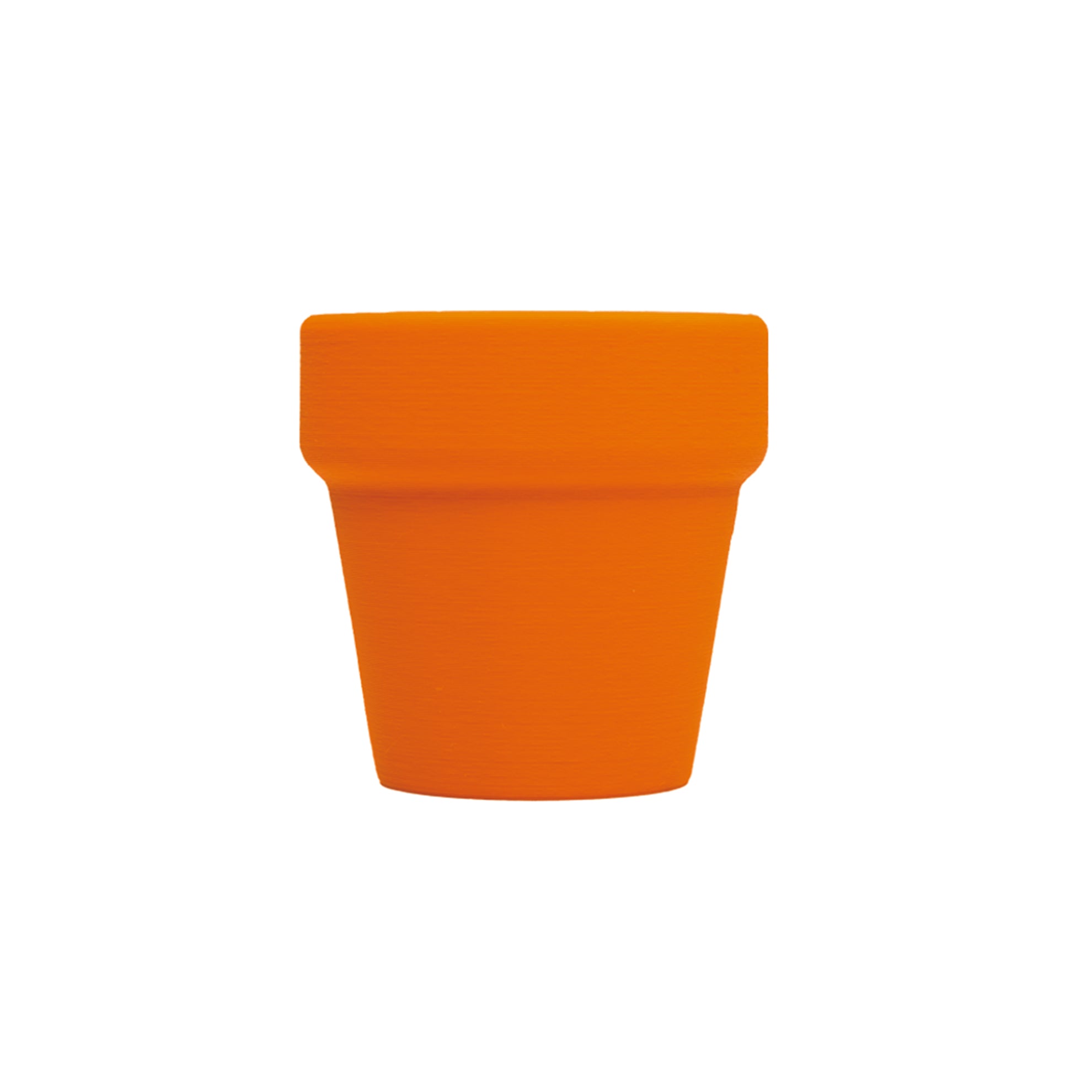 Whisker Collector 貓鬚收集器