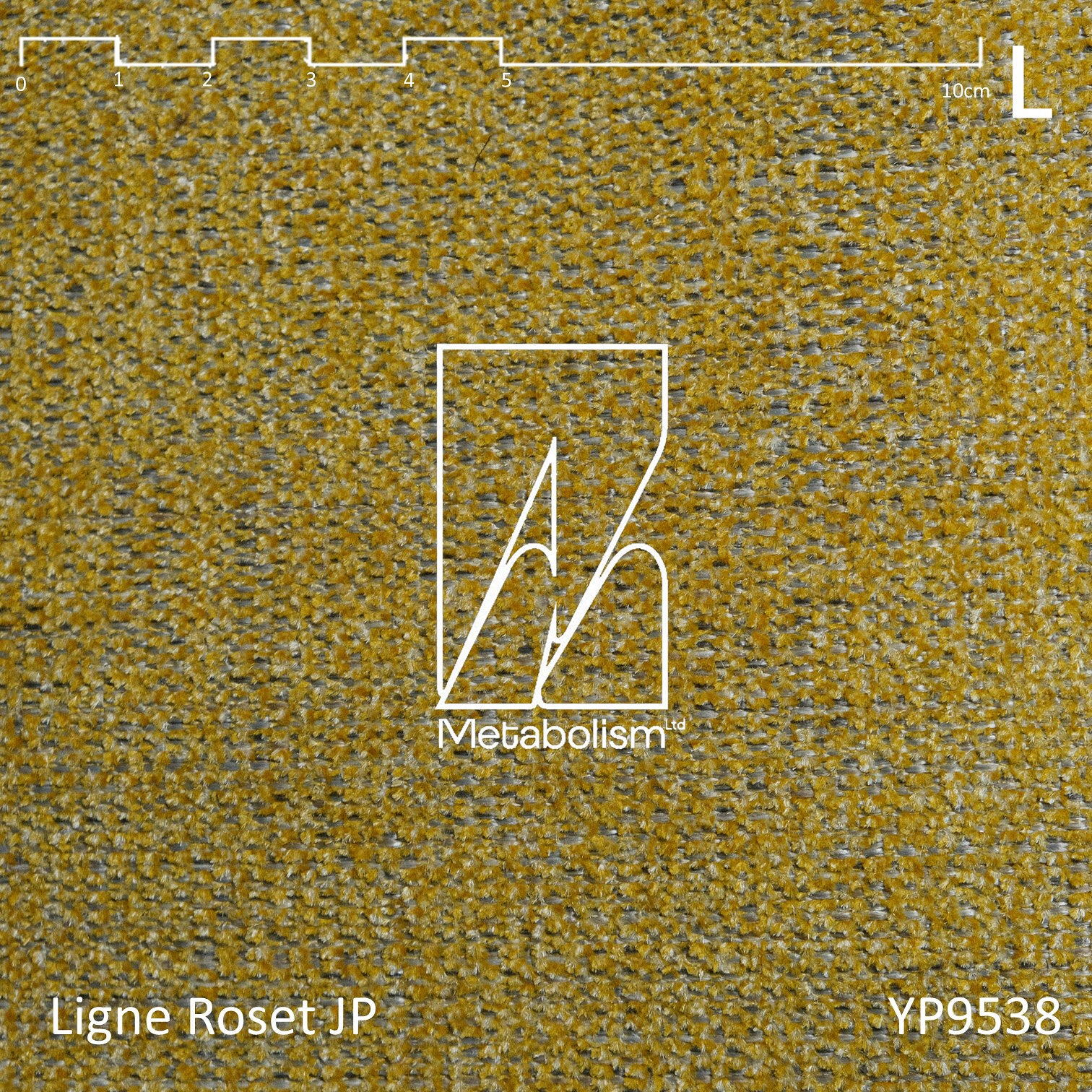 LIGNE ROSET JP TOGO, Rank L_Amaral_1