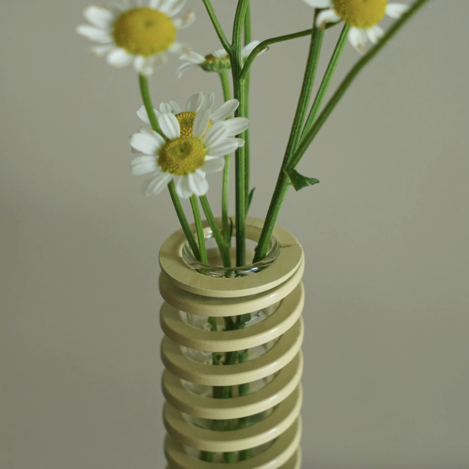 Spring Vase by Mo_&_A
