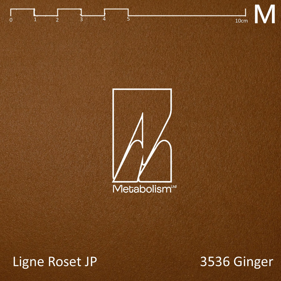 現貨 LIGNE ROSET JP TOGO, NU 3536 Ginger, 1P 單人沙發