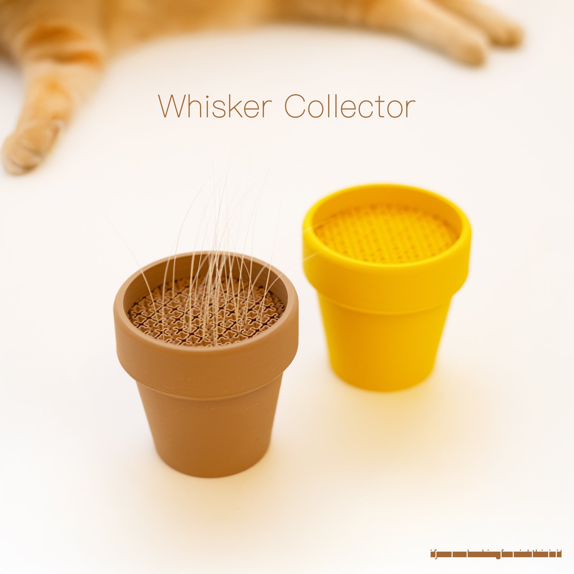 Whisker Collector 貓鬚收集器
