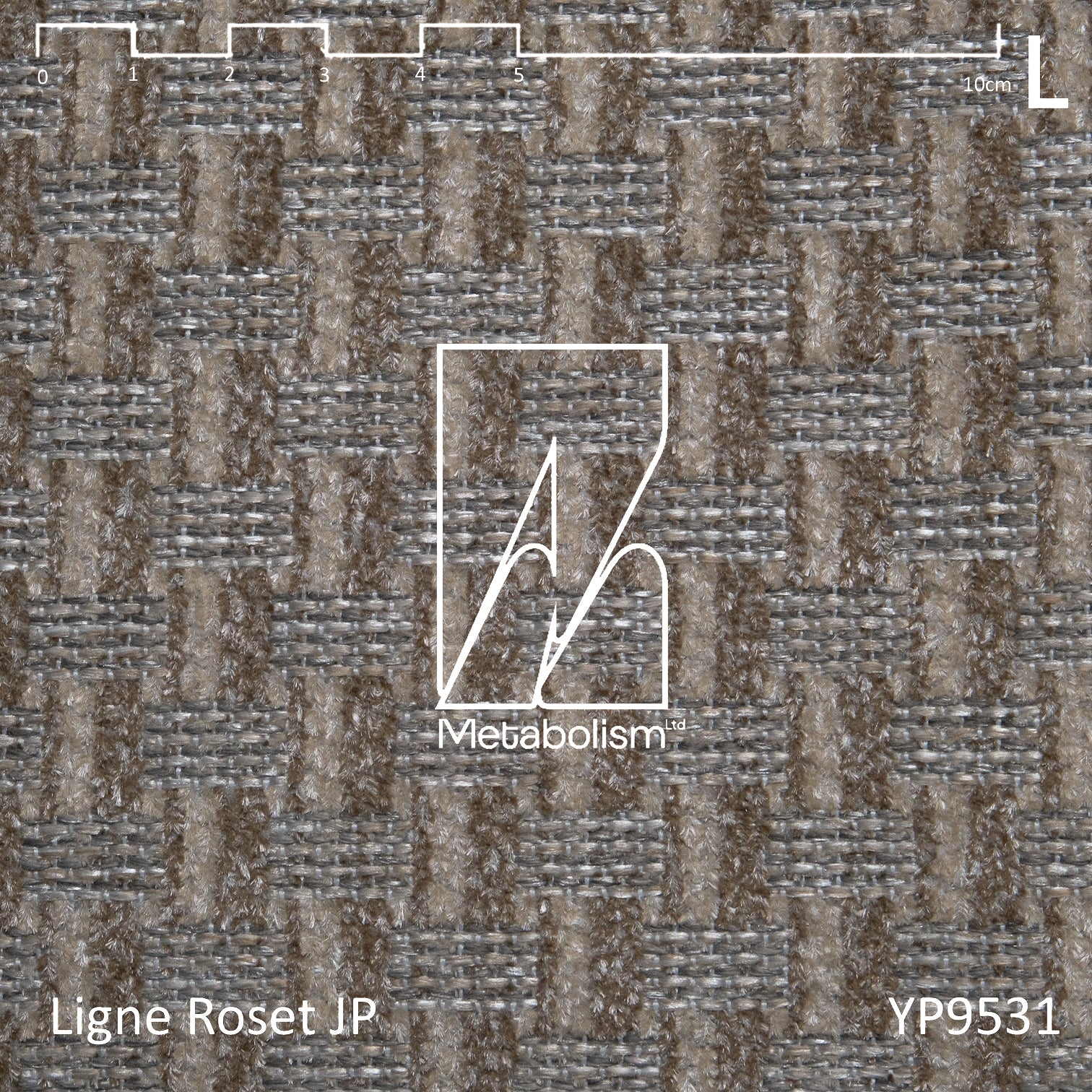 LIGNE ROSET JP TOGO, Rank L_Regent