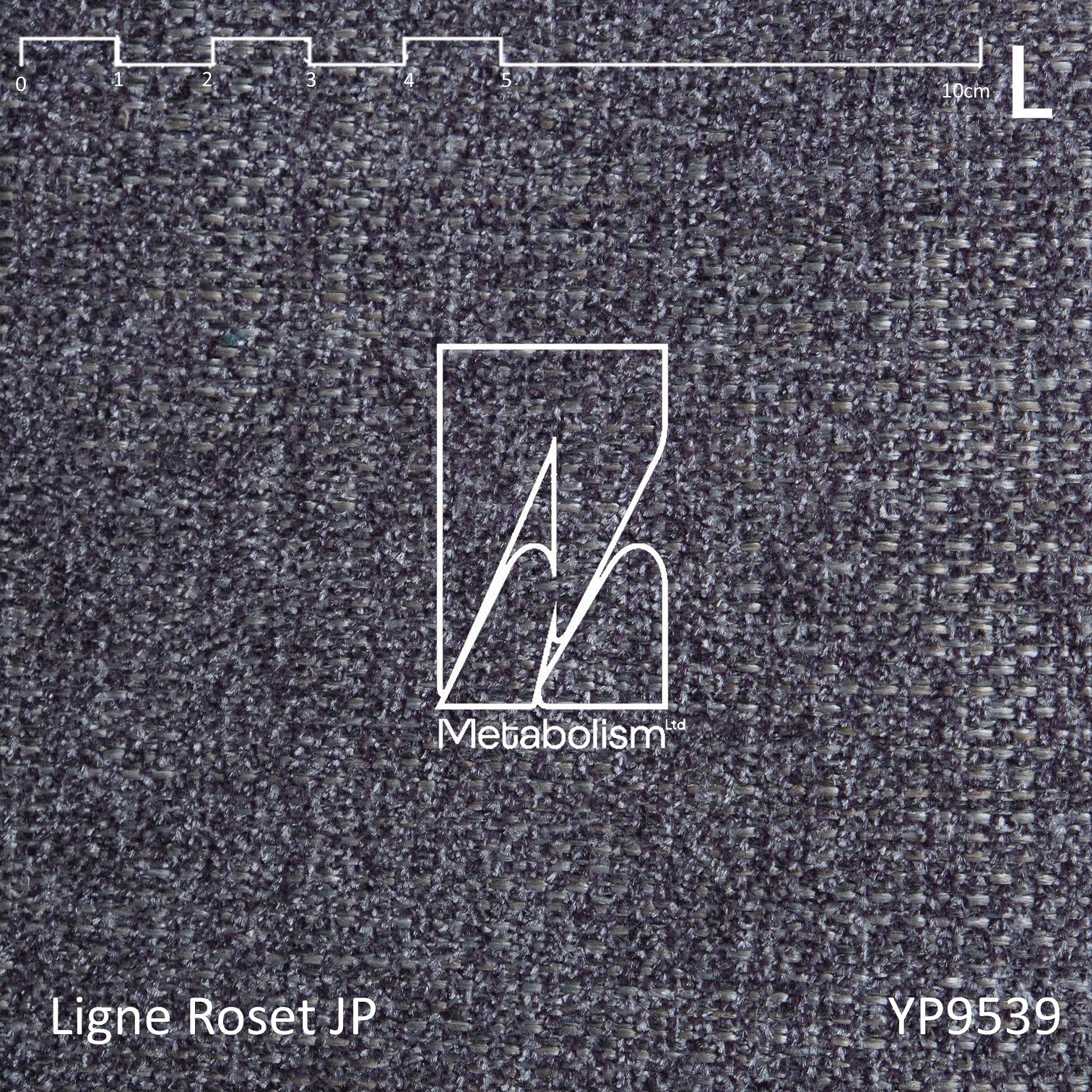 LIGNE ROSET JP TOGO, Rank L_Amaral_2