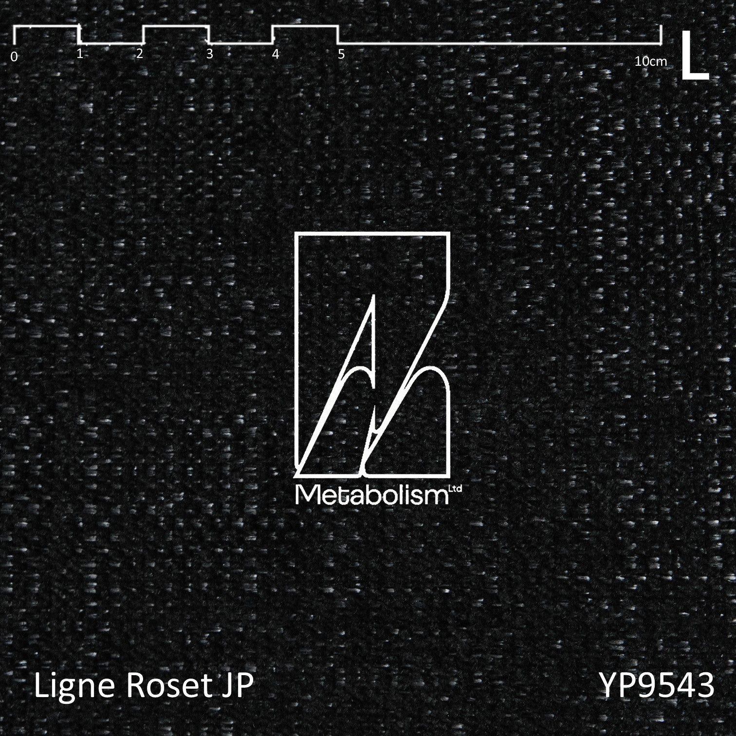 LIGNE ROSET JP TOGO, Rank L_Amaral_2